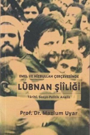 Emel ve Hizbullah Çerçevesinde Lübnan Şiiliği Tarihi, Sosyo-Politik Analiz