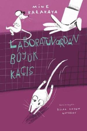 Ev Bahçelerinin Bakım ve Ekim Yöntemleri