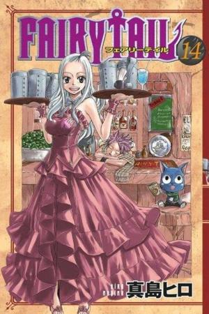 Fairy Tail 14. Cilt