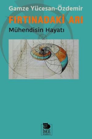Fırtınadaki Arı Mühendisin Hayatı