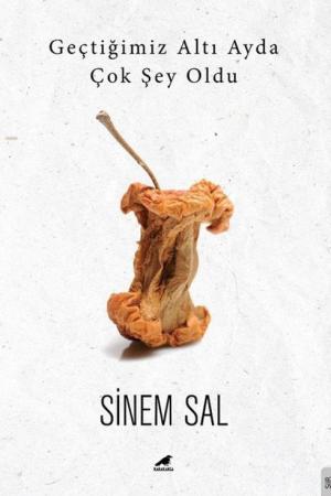 Geçtiğimiz Altı Ayda Çok Şey Oldu