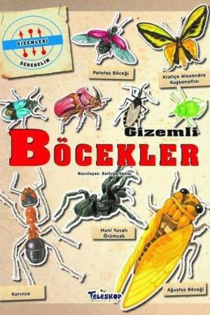 Gizemleri Öğrenelim - Gizemli Böcekler