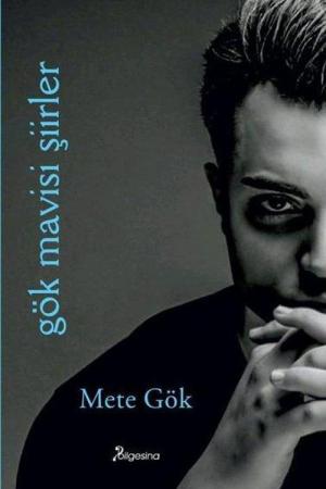 Gök Mavisi Şiirler