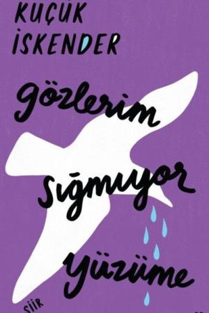 Gözlerim Sığmıyor Yüzüme (Ciltli Baskı)