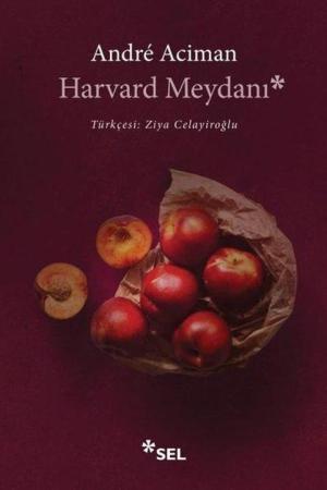 Harvard Meydanı