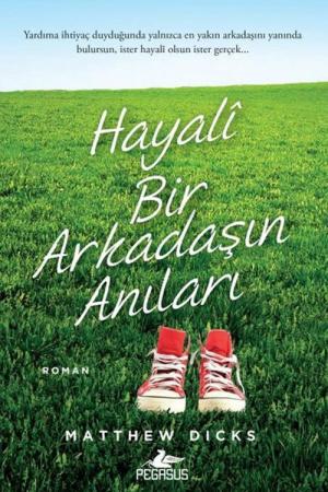 Hayali Bir Arkadaşın Anıları