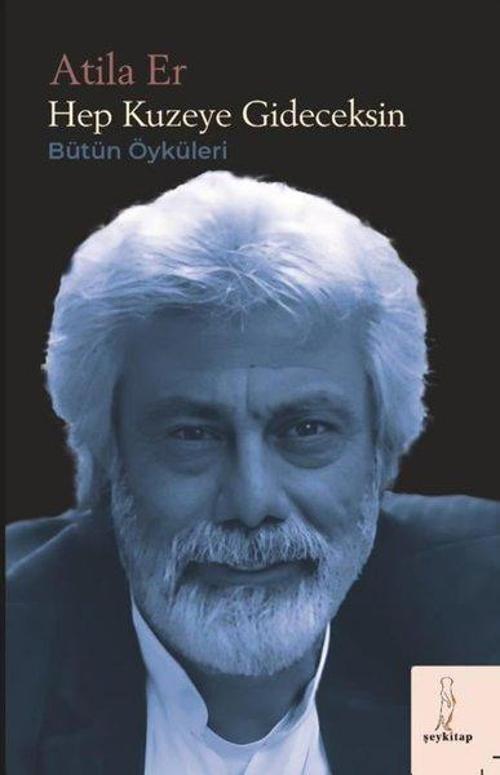 Hep Kuzeye Gideceksin Bütün Öyküler