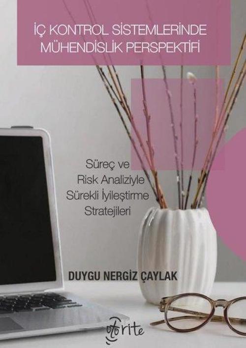 İç Kontrol Sistemlerinde Mühendislik Perspektifi Süreç ve Risk Analizleriyle Sürekli İyileştirme Stratejileri