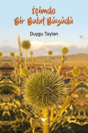 İçimde Bir Bulut Büyüdü