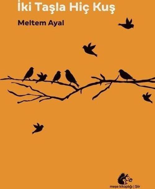 İki Taşla Hiç Kuş