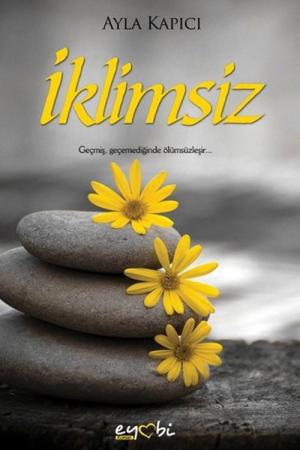 İklimsiz