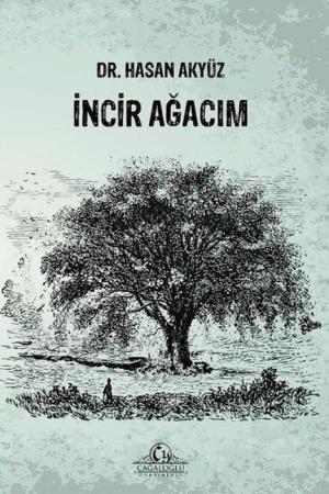 İncir Ağacım