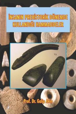 İnsanın Prehistorik Dönemde Kullandığı Hammaddeler