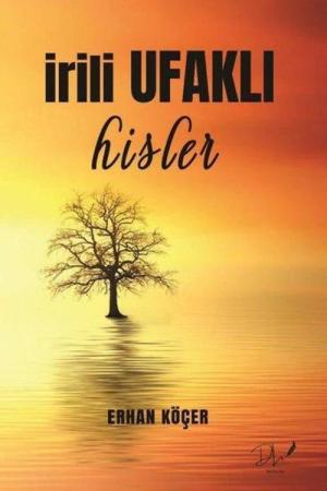 İrili Ufaklı Hisler