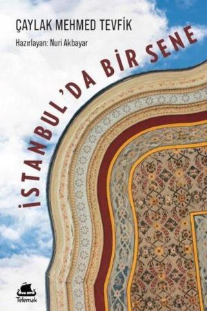 İstanbul'da Bir Sene