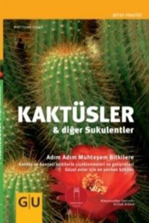 Kaktüsler