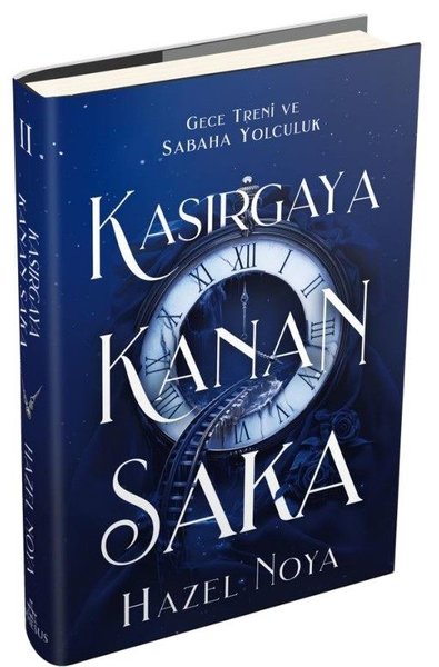 Kasırgaya Kanan Saka 2 (Ciltli)