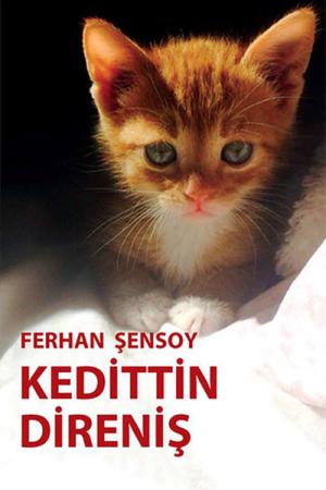 Kedittin Direniş