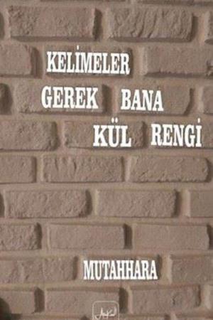 Kelimeler Gerek Bana Kül Rengi