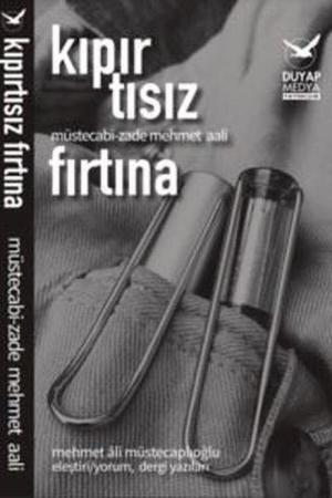 Kıpırtısız Fırtına