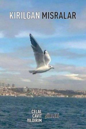 Kırılgan Mısralar