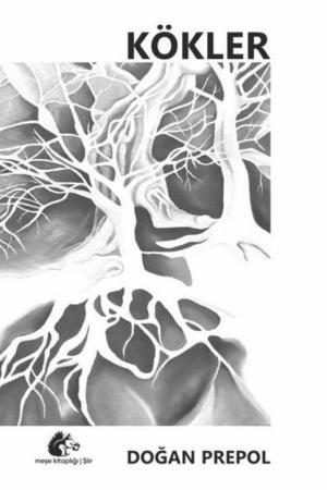 Kökler