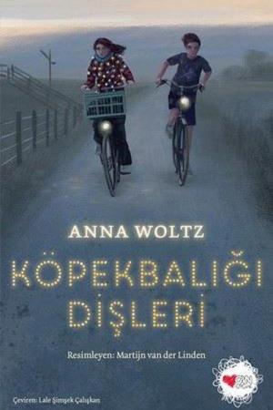 Köpekbalığı Dişleri