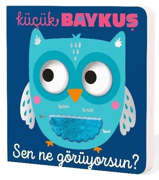 Küçük Baykuş Sen Ne Görüyorsun?