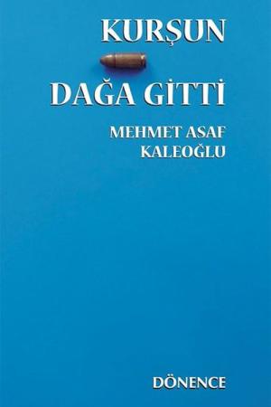 Kurşun Dağa Gitti