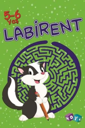 Labirent 5-6 Yaş