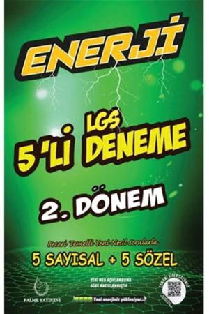 LGS Enerji 5'li Deneme 2.Dönem