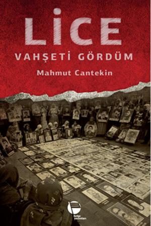 Lice Vahşeti Gördüm