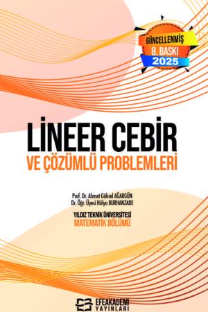 Lineer Cebir ve Çözümlü Problemleri