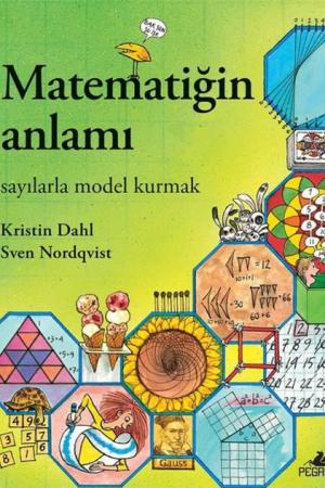 Matematiğin Anlamı: Sayılarla Model Kurmak