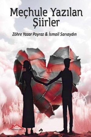 Meçhule Yazılan Şiirler