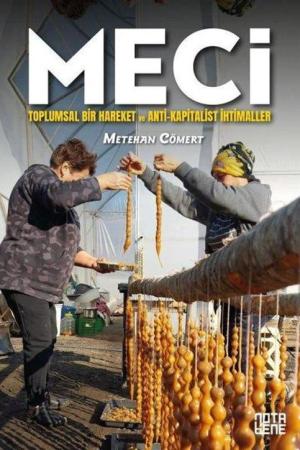 MECİ Toplumsal Bir Hareket ve Anti-Kapitalist İhtimaller
