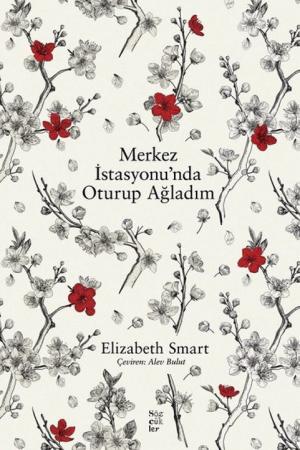 Merkez İstasyonunda Oturup Ağladım