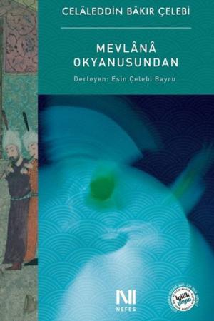 Mevlana Okyanusundan