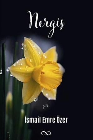 Nergis