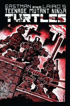 Ninja Kaplumbağalar 1