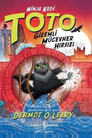 Ninja Kedi Toto Gizemli Mücevher Hırsızı