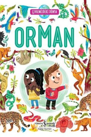 Orman / Çevremizdeki Dünya