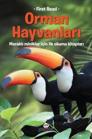 Orman Hayvanları / Meraklı Minikler