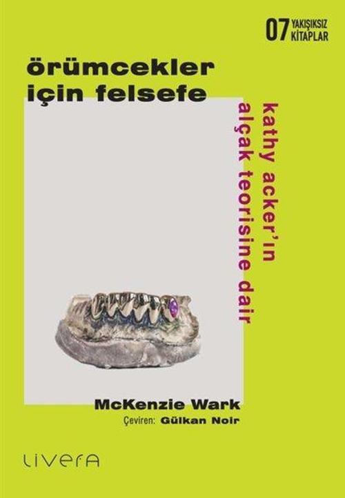 Örümcekler İçin Felsefe: Kathy Acker’ın Alçak Teorisine Dair