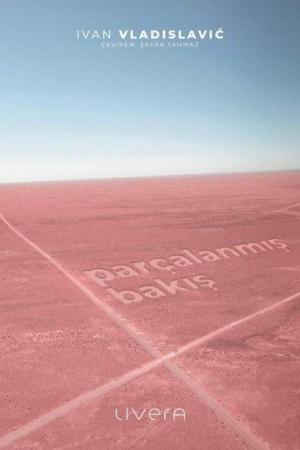 Parçalanmış Bakış