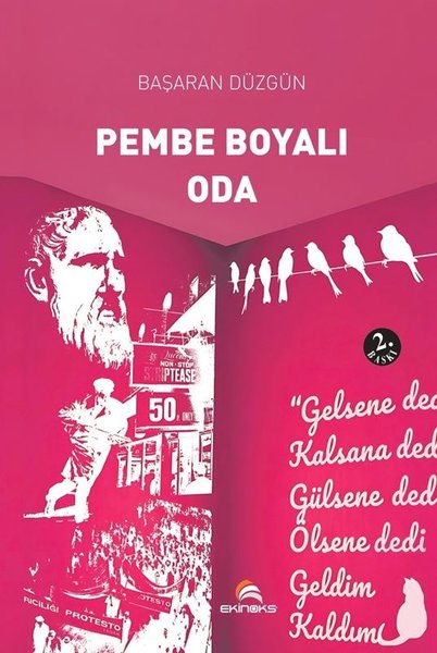 Pembe Boyalı Oda
