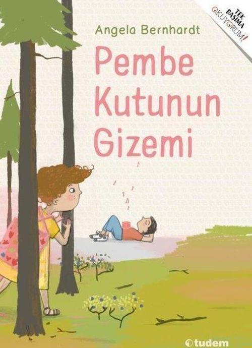 Pembe Kutunun Gizemi