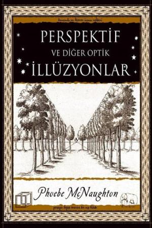 Perspektif ve Diğer Optik İllüzyonlar