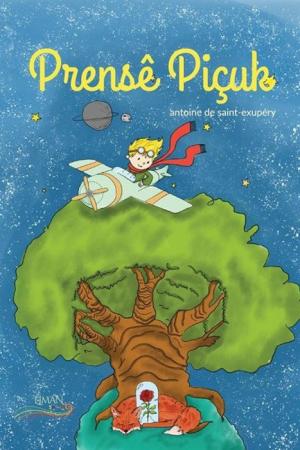 Prense Piçuk Küçük Prens (Türkçe-Kürtçe Küçük Prens)