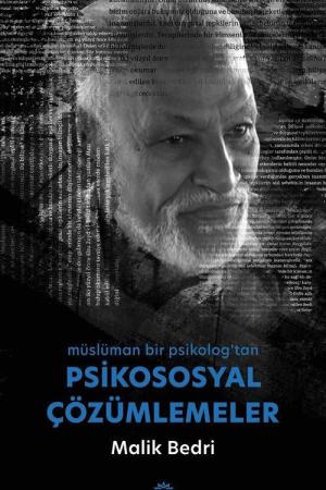 Psikososyal Çözümlemeler